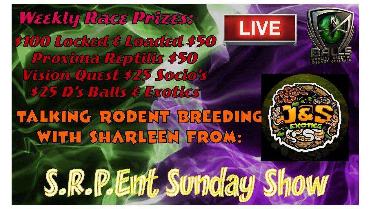 S.R.P.Ent Sunday Show 2/22/26 With Sharleen of J&S Exotics