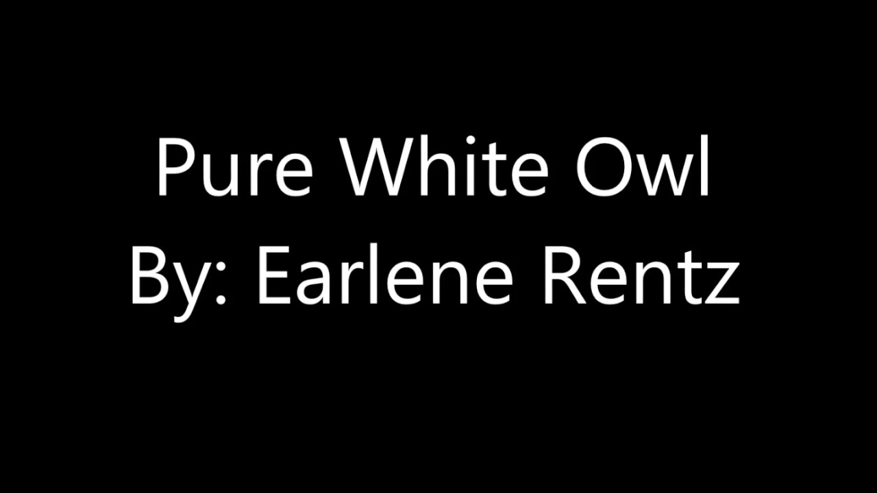 Pure White Owl