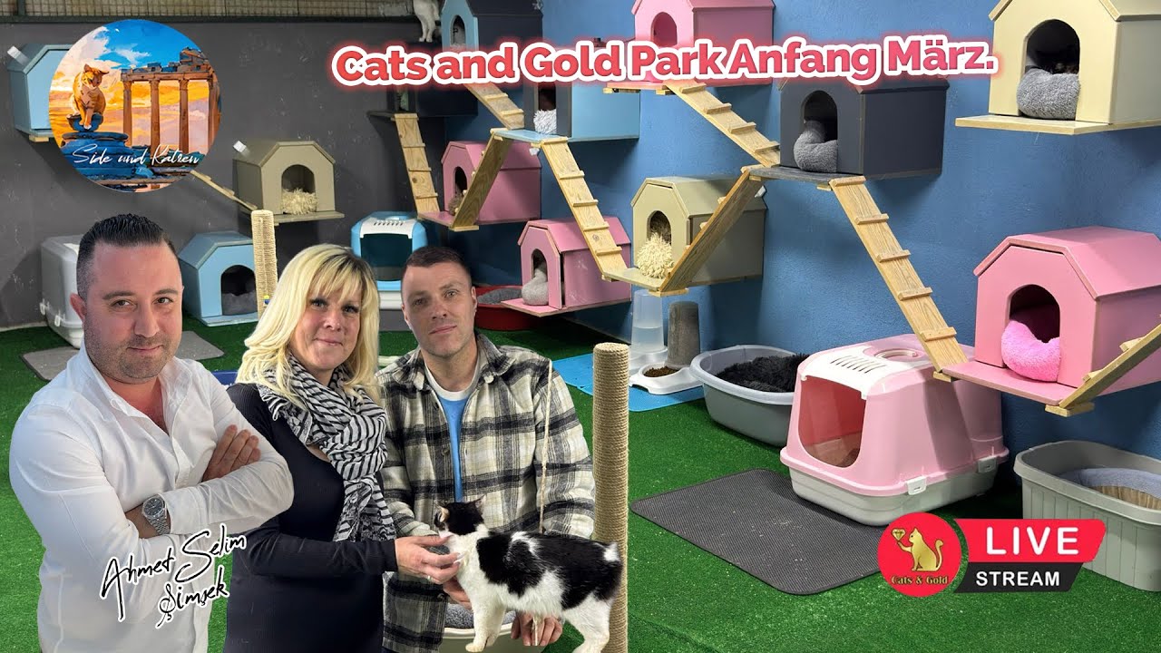 Cats and Gold Park Anfang März