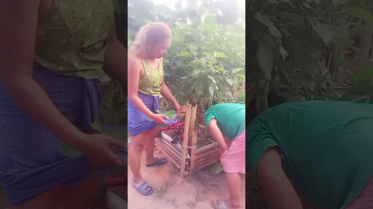 @เอิ้นยายอิ๋วกะได้ รวมอัลบั้มความสนุก #ตลก #คลายเครียด #funny 