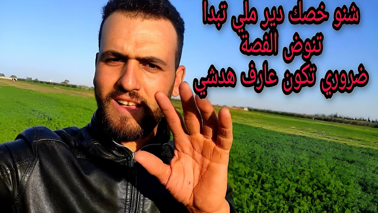 زراعة الفصة بالمغرب alfalfa cultivation: كيفاش تعتني بالفصة ملي تنوض ومتموتش ليك،ما وراء الطبيعة