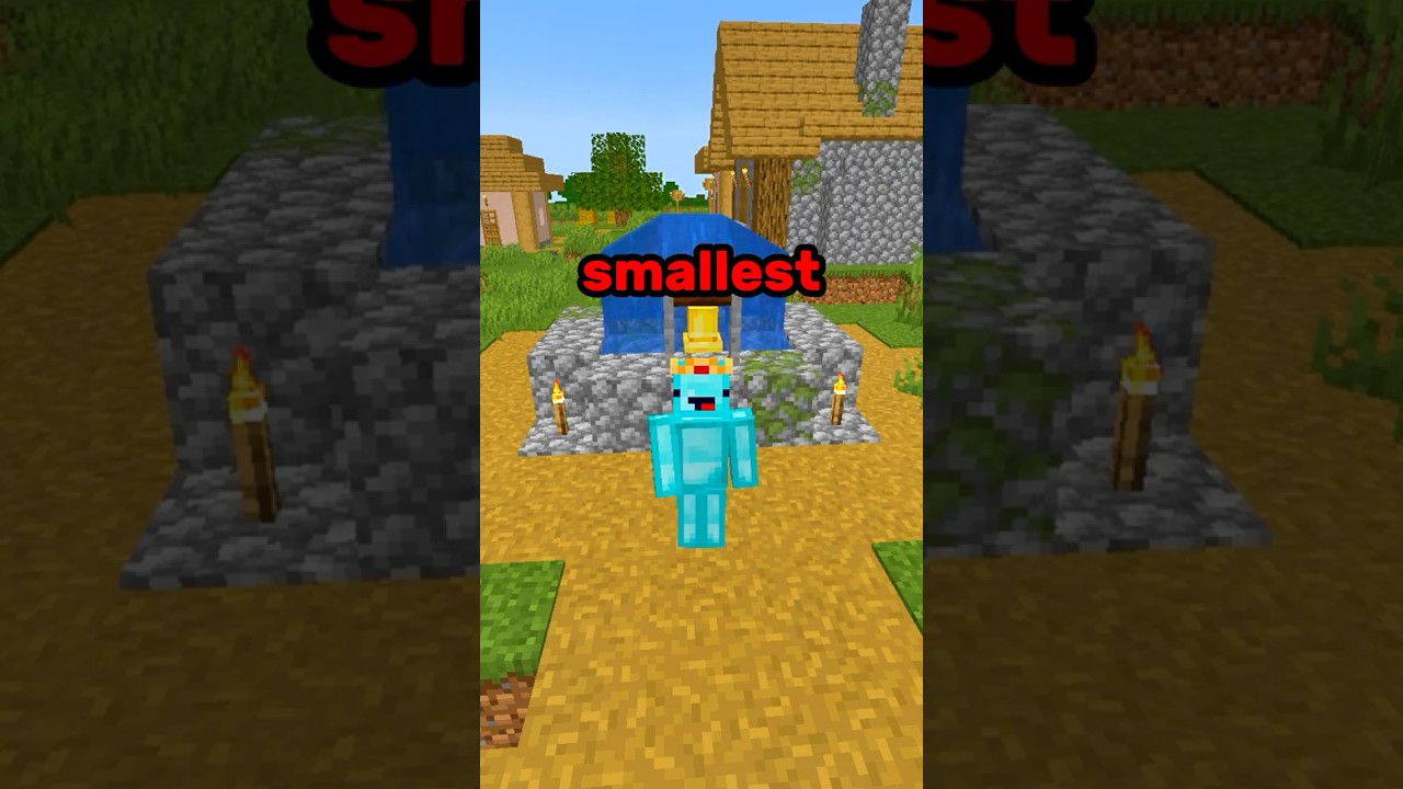 Minecraft Smallest Village?! ⛏💎