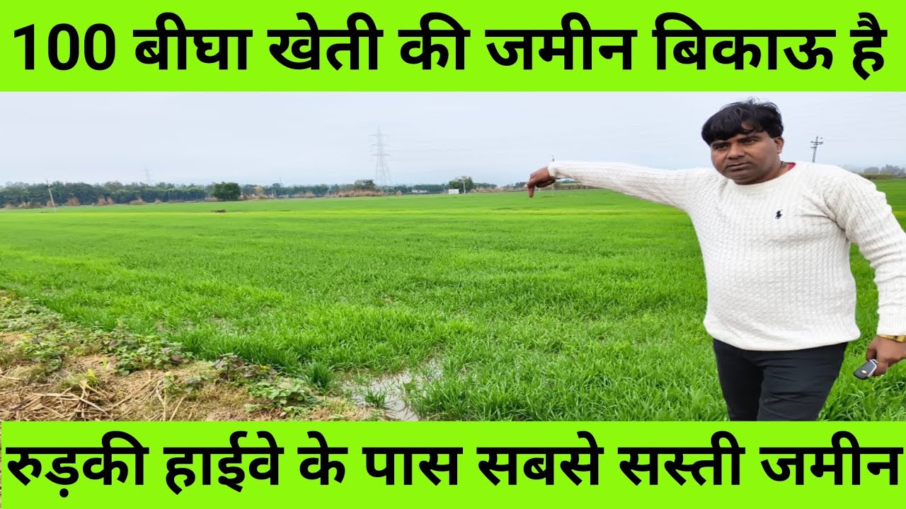 100 बीघा खेती की जमीन बिकाऊ है l रुड़की हाईवे के पास सबसे सस्ती जमीन ✅ l पहले आओ पहले पाओ #property