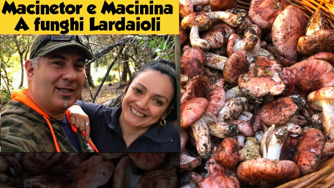 MACINETOR E MACININA A FUNGHI LARDAIOLI [sub Eng]