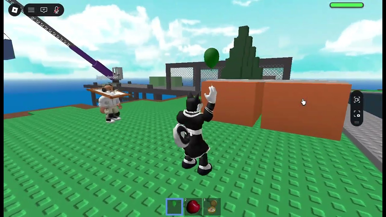 Roblox : Natural Disaster Survival