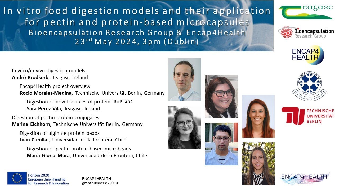 15. In vitro food digestion models and encapsulation (BRG & Encap4Health) May 2024
