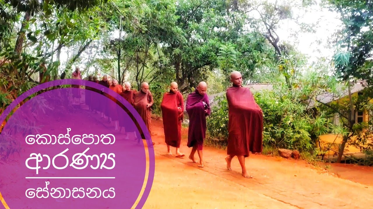 Sri Lanka | Buddhist - Kospotha Aranyaya