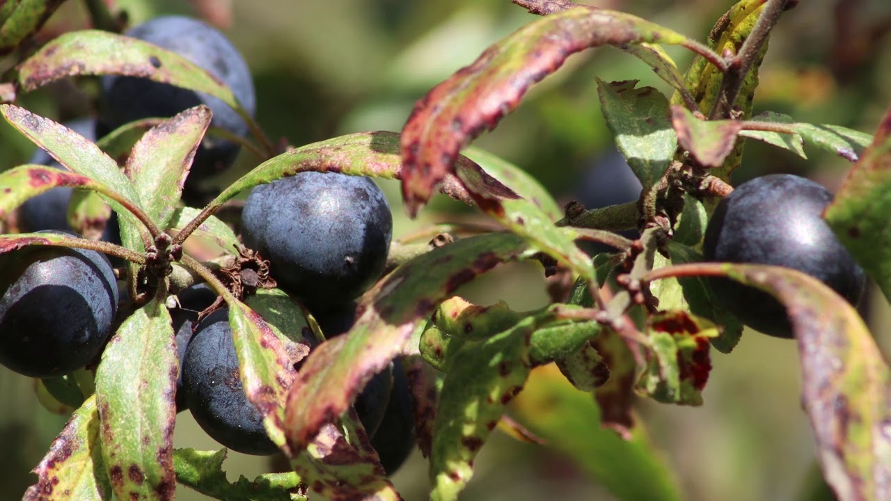 Visit Stour Valley: Nature & Wildlife