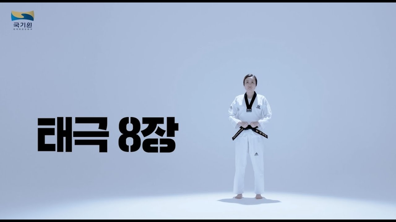태극 8장