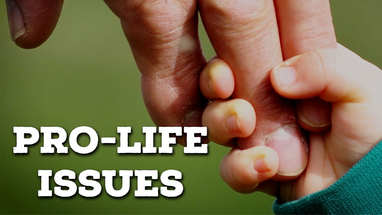 Pro-Life Issues | Catholic Central