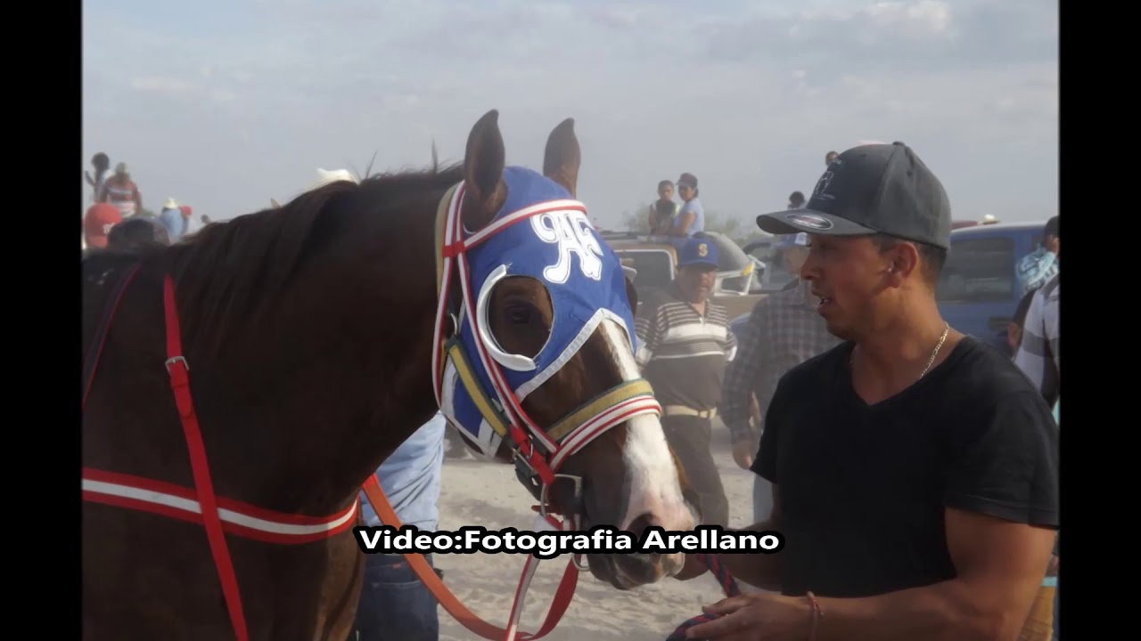 CORRIDO DEL CHARLY CUADRA LUCERO