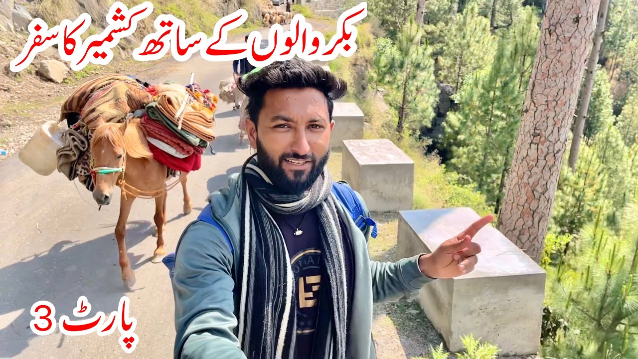 Bakrwals Traveling in Kashmir | Part 3 | Nomads Life | Khana Badosh