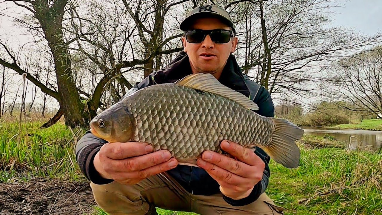 Wiosenne spin fishing: Połów białorybu na kanale i rozlewiskach.