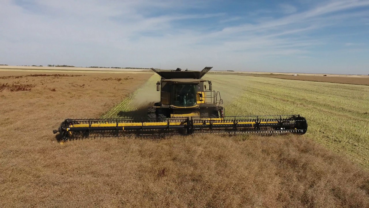 Canola harvest 2016. Canada. Delage Farms Ltd. Markusson New Holland.