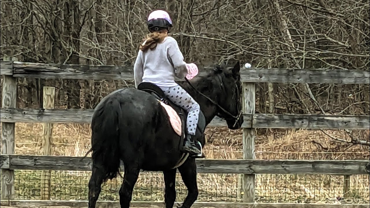 Hoppy Easter! #vlog #equestrian #gaming #horse #fun #animals #holiday #wow