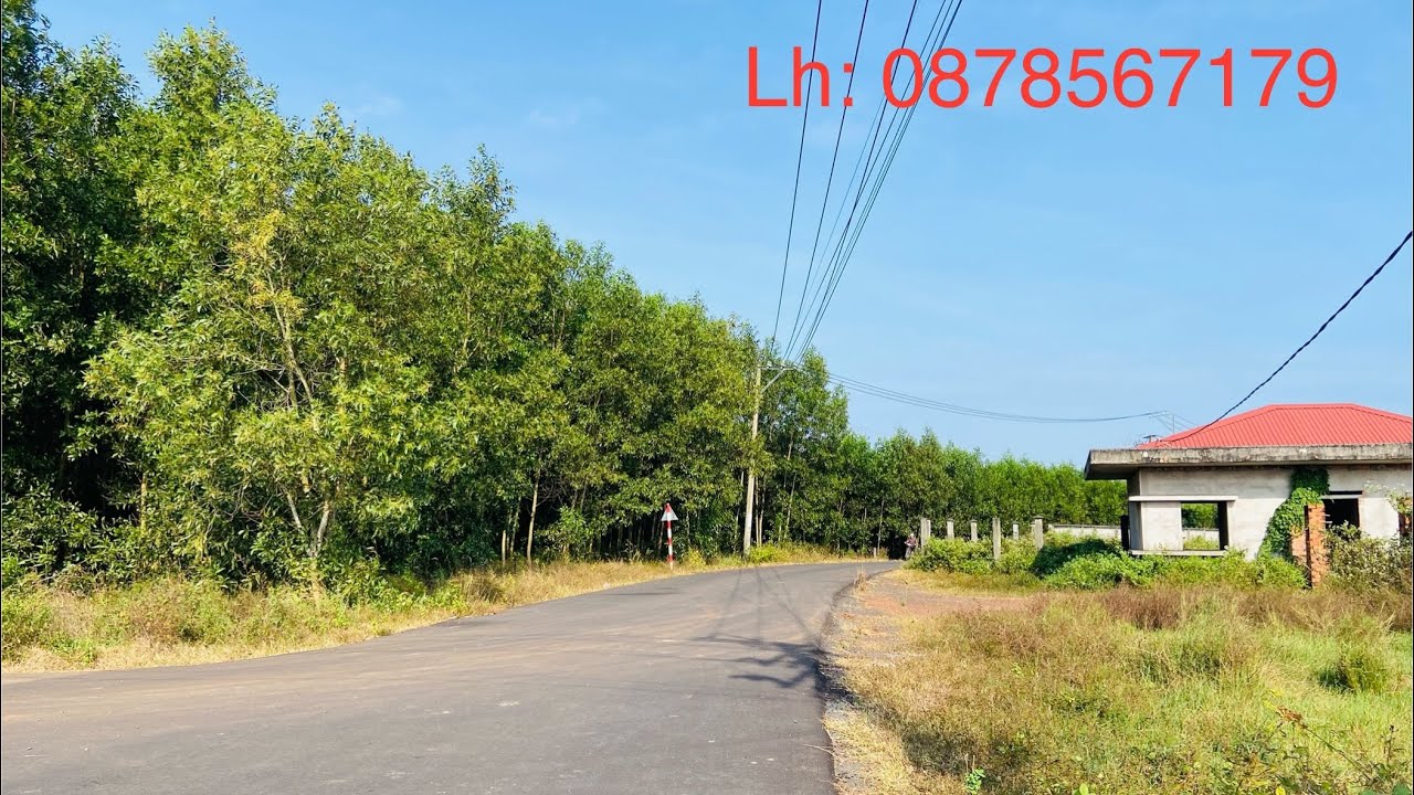 Bán Đất Giá Rẻ. 👉 Đã Cắt Sẵn 17 Sổ Riêng 