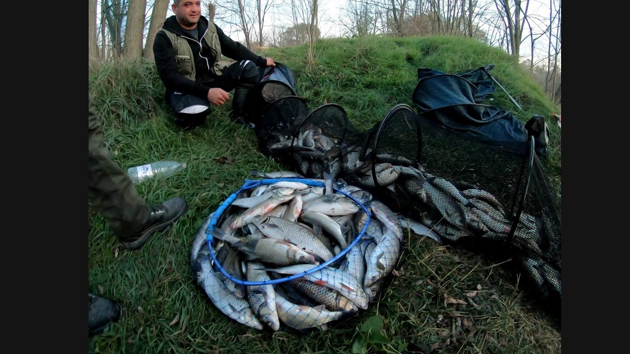 Болонези, кефали, морунажи и речни бандити