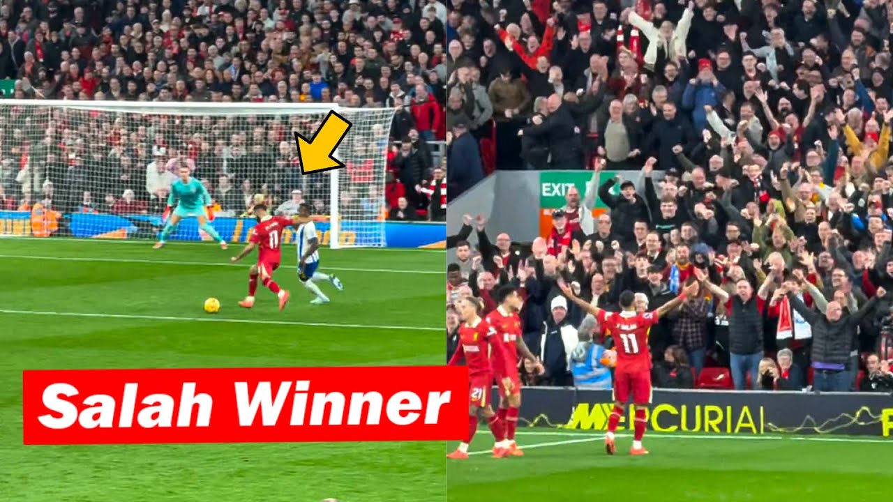 Liverpool Fans Reactions to Mohamed Salah (Winning) Goal vs Brighton
