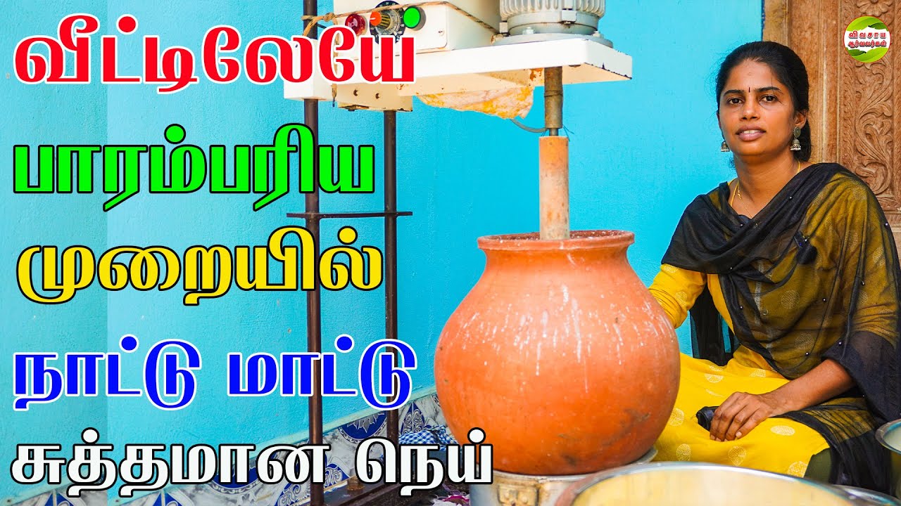 70 நாட்டு மாடுகள்|நாட்டு மாட்டு பாலில் நெய்|பால் விற்பனைக்கு இல்லை #vivasayaarvalargal #dairyfarm
