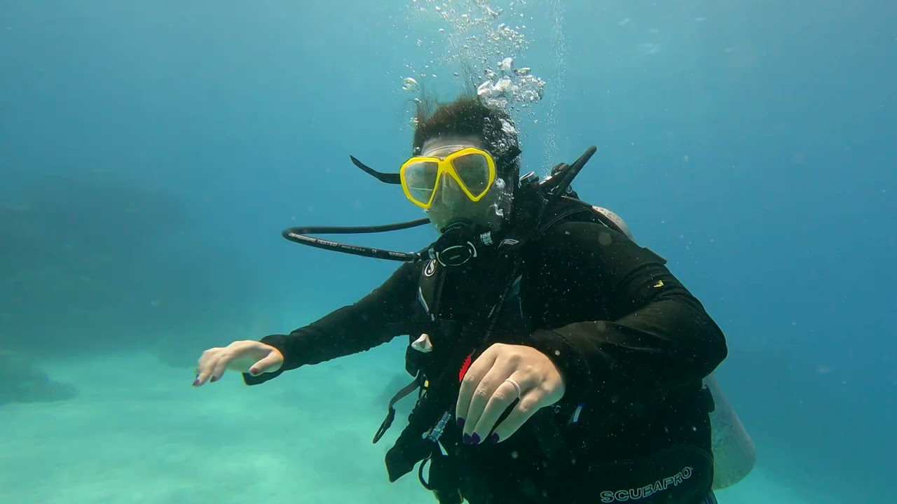 Australia Diving Dive 1