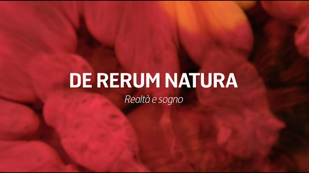 Carlo Cottarelli - I sette peccati capitali dell'economia italiana | De Rerum Natura