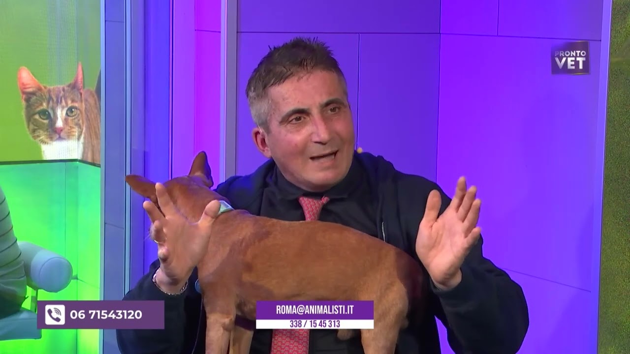 INTERVISTA A WALTER CAPORALE PRESIDENTE DEGLI ANIMALISTI ITALIANI