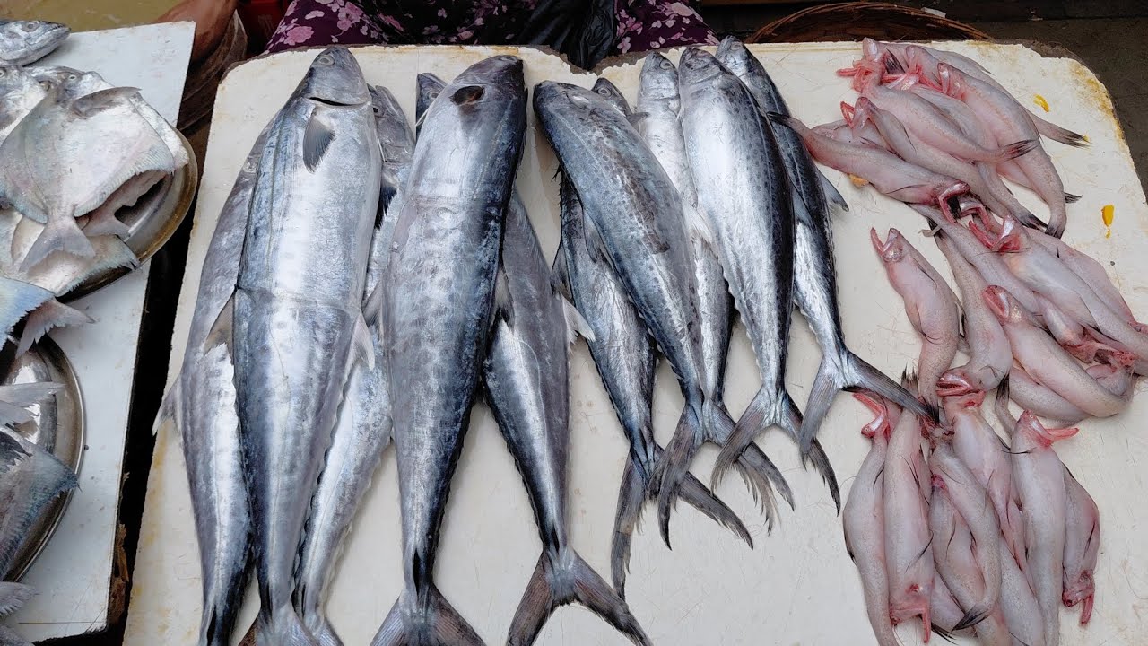 MALAD FISH MARKET🐟MUMBAI KA SAB SE SASTA FISH MARKET, FISH MARKET VLOG @Eat_Healthy_Stay_Wealthy 