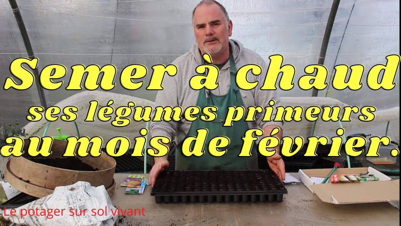 Les légumes primeurs au nord de la France.