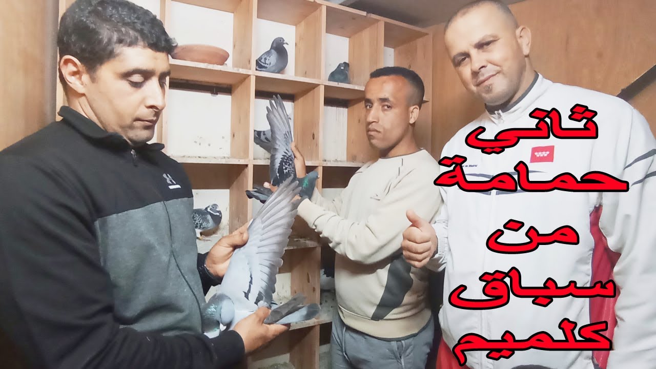 كنطرول دخول ثاني حمامة من سباق كلميم مع الطونديم الهواري زكمو | الاتحاد السلاوي