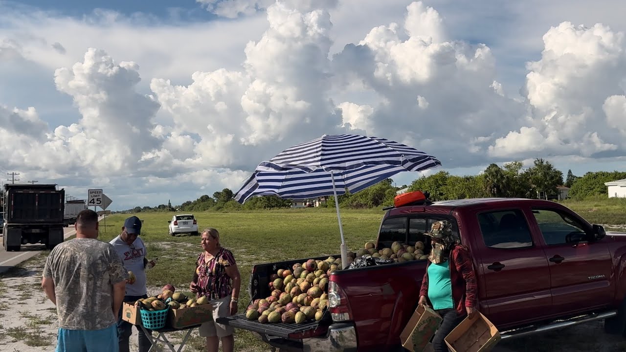 Driving Around In Lehigh Acres, Florida