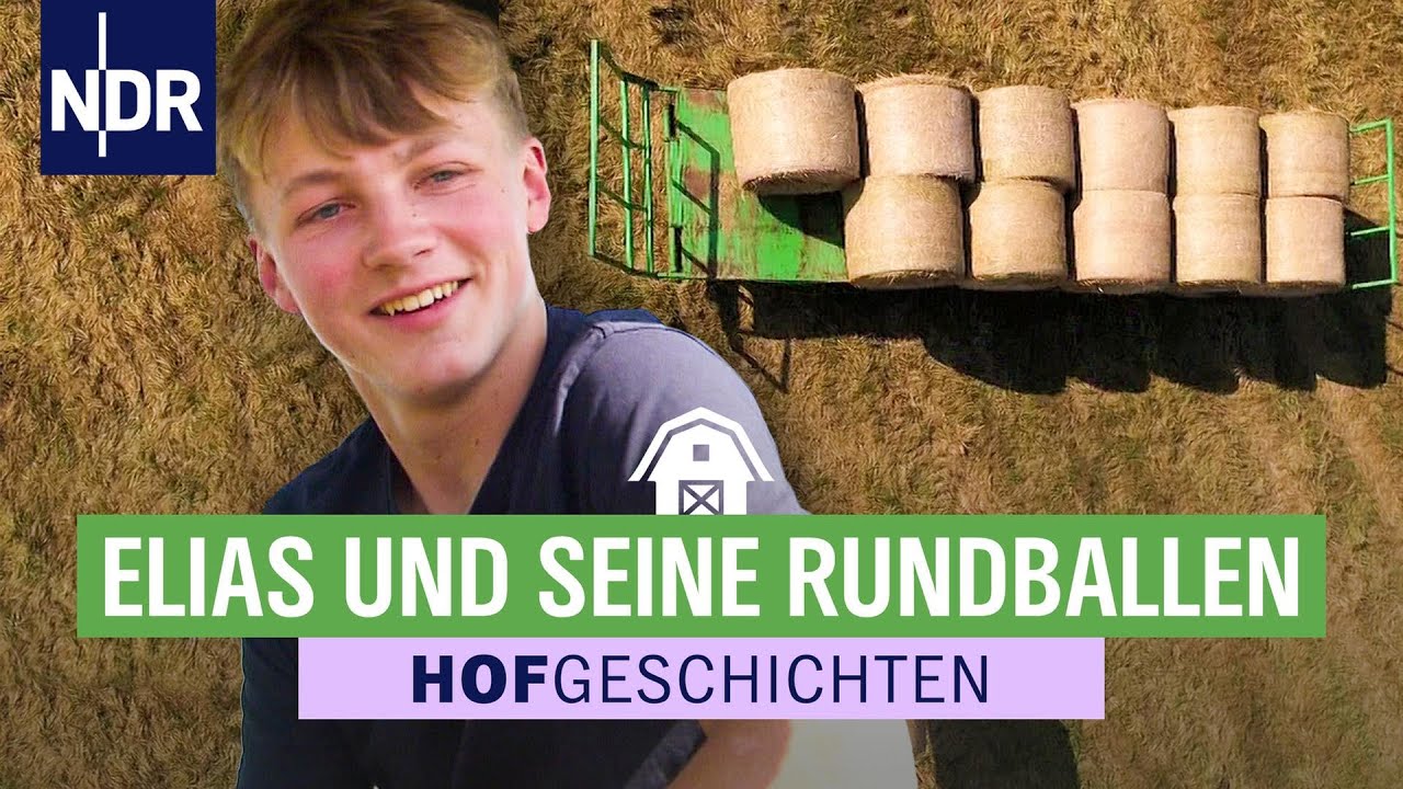 Elias Reich hilft Karsten Dudziak beim Ballenstapeln | Hofgeschichten: Leben auf'm Land (344) | NDR