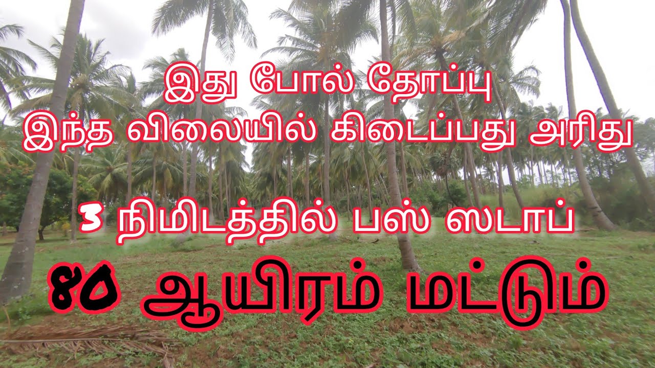 Project Number  : 447. Nagercoil Coconut Farm For Sale (adhalavilai)