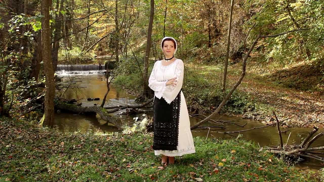 Irina Zoican - Tot asteapta ai mei dusmani