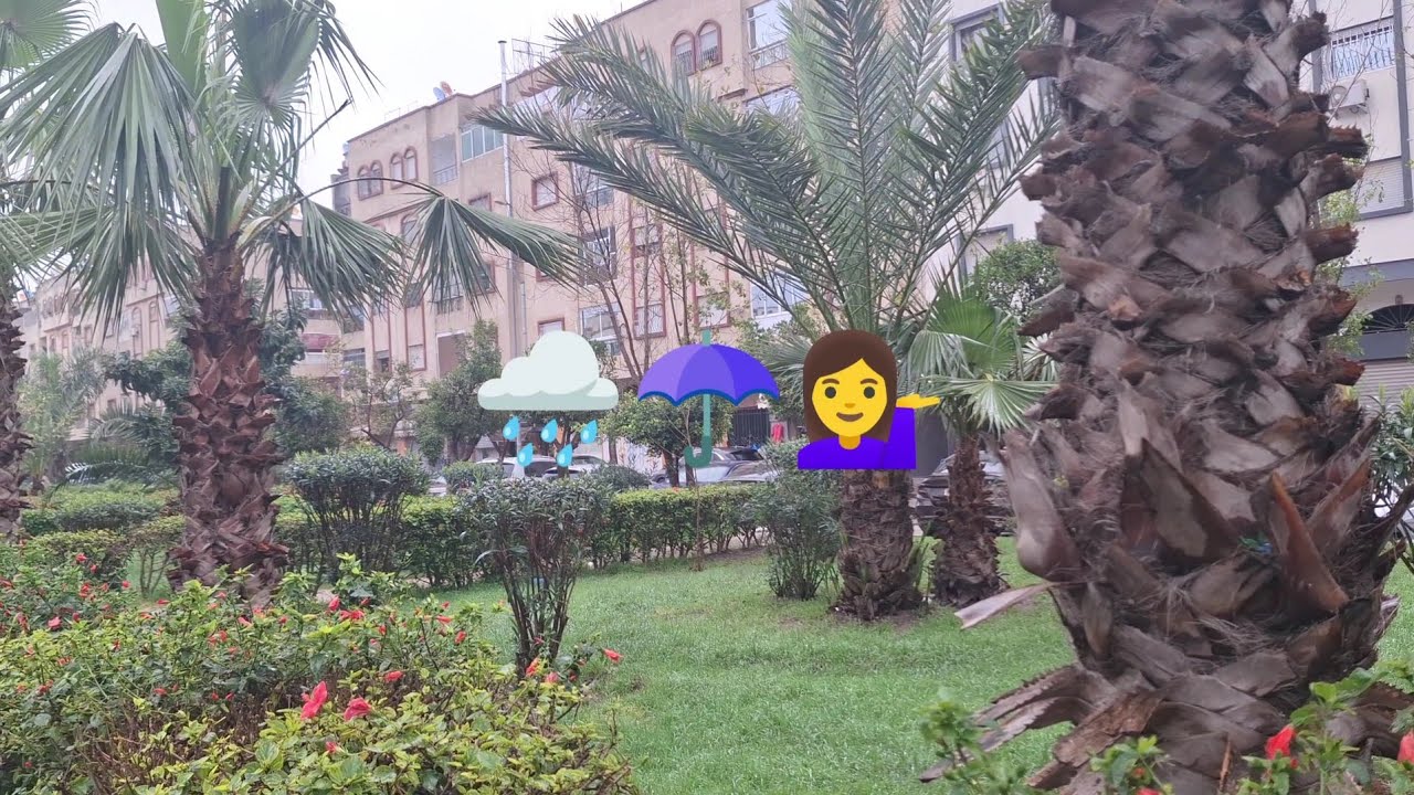 الجو في مدينة🇲🇦🤲🌧☂️ طنجة بعد العاصفة شفو امطار الخير ألله يلطف بنا يارب العالمين قالو غدا العاصفة 