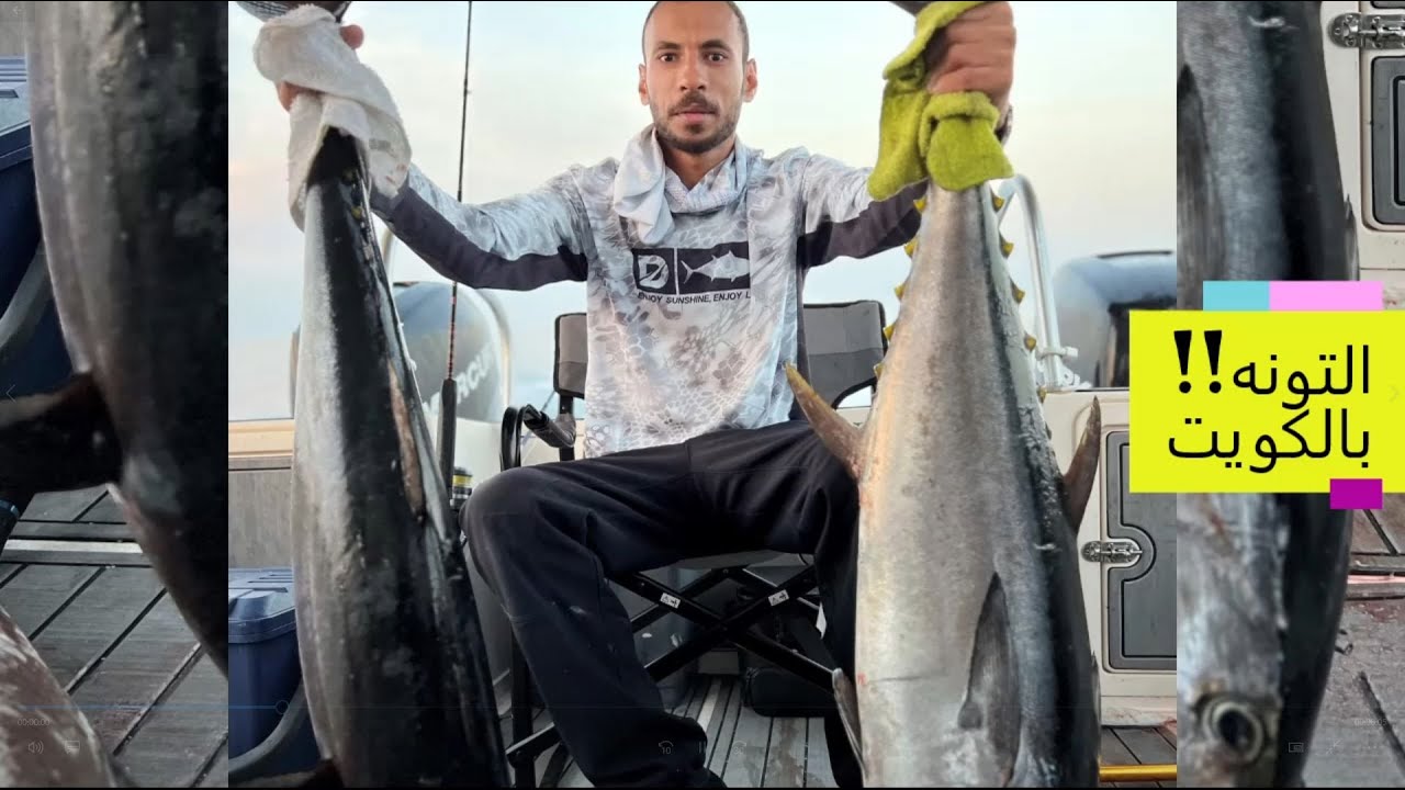 رحله صيد التونه في الكويت حداق و جقنق العنيده  .. 4k