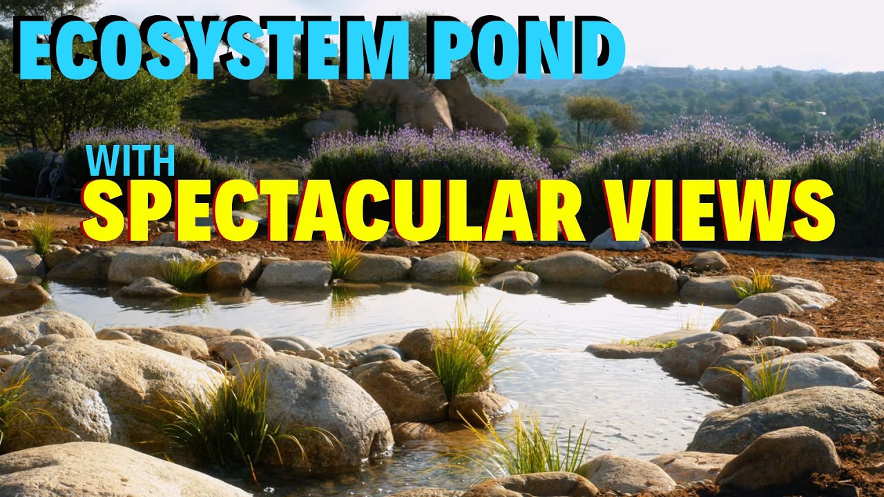 From Mulch to Masterpiece: Ecosystem Pond Build with Epic Views | Flow Landscape