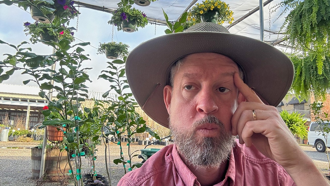 When is the Best Time to Plant a Tree? (It might not be what you think!)