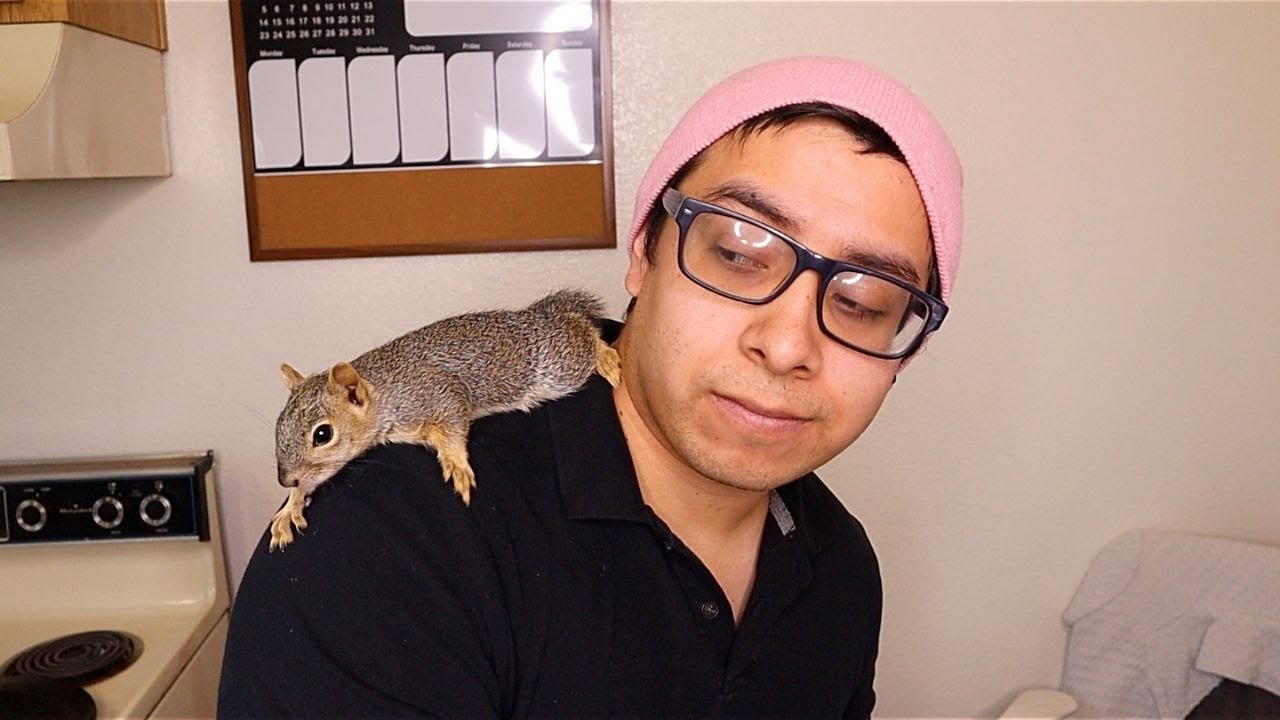 SOY PAP&Aacute; ARDILLA LUCHON!! Christianestilo