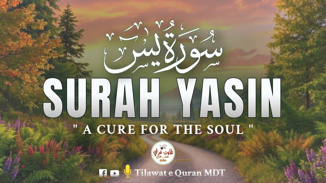 Surah Yaseen (يس) | Heart-Soothing Recitation for Reflection & Tranquility
