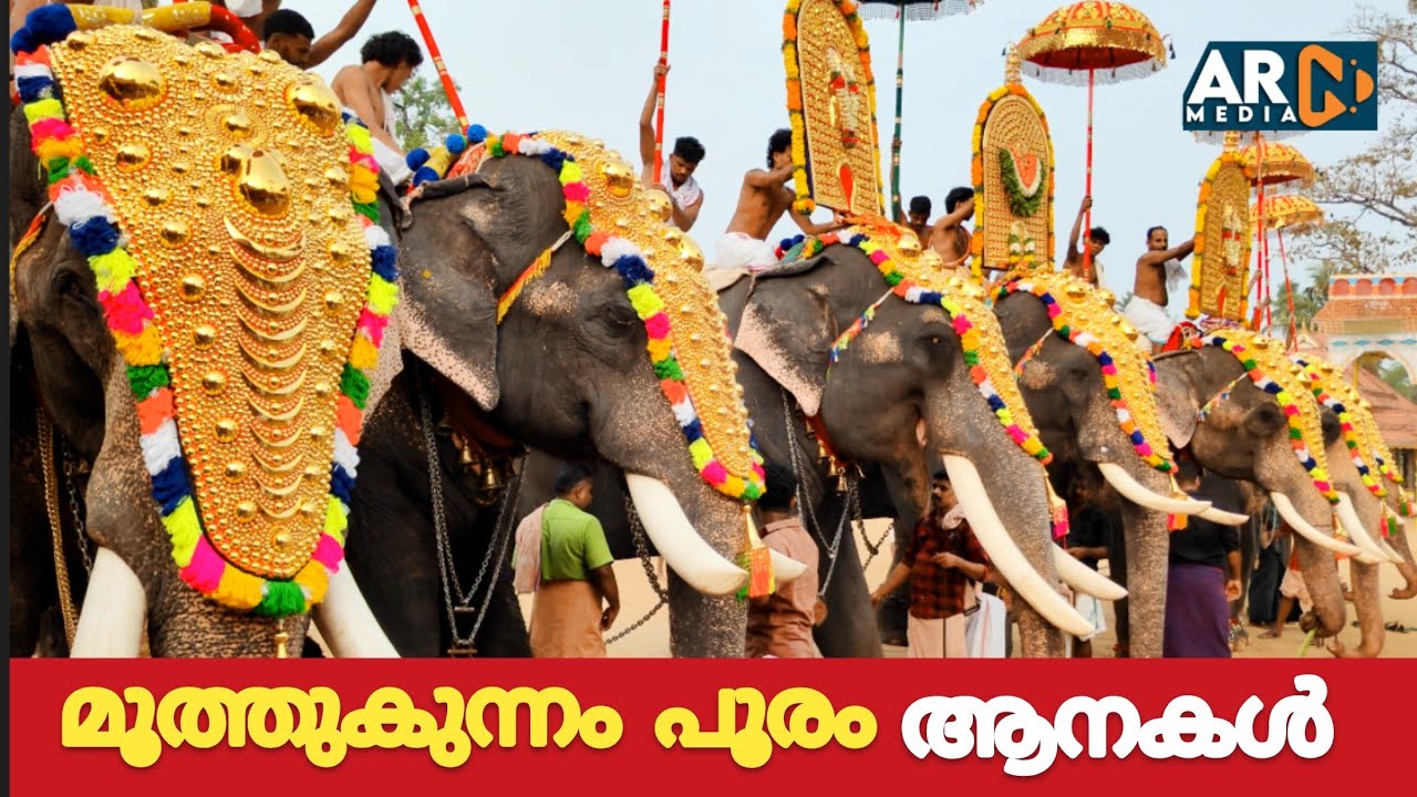 Moothakunnam Pooram 2026 Elephants