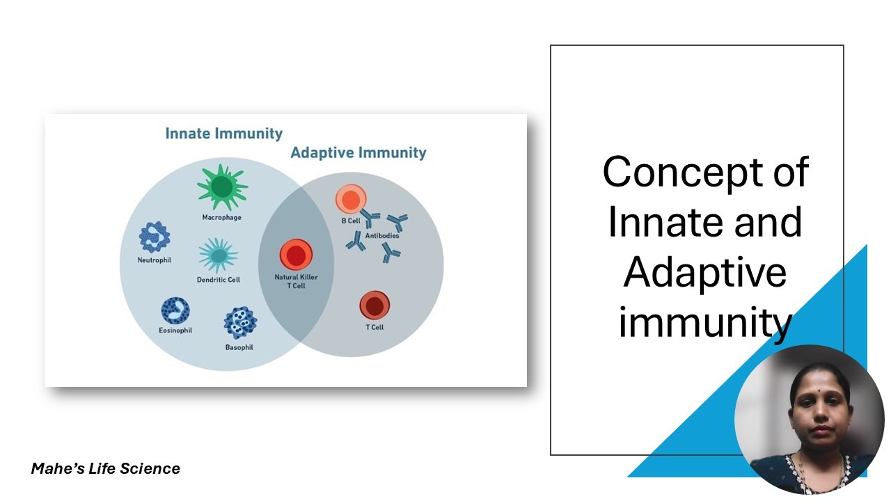 Innate and Adaptive Immunity
