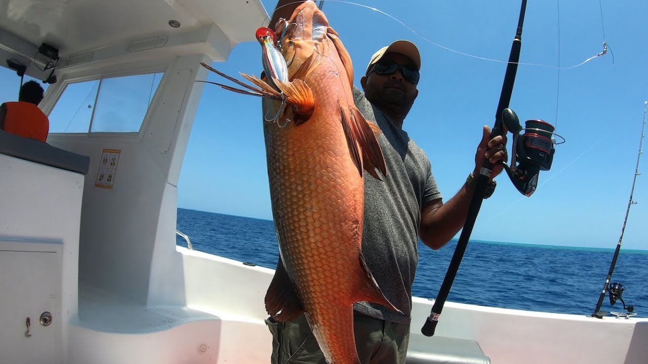 Reel Men Charter in the Maldives. What to expect from a popping trip!!
