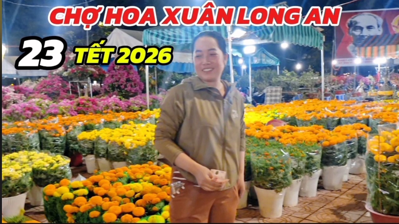 23 TẾT CHỢ HOA XUÂN LONG AN ĐẦY BÔNG KIỂNG sẵn sàng đón khách- cúc mâm xôi vạn thọ 40k cặp rẻ bèo