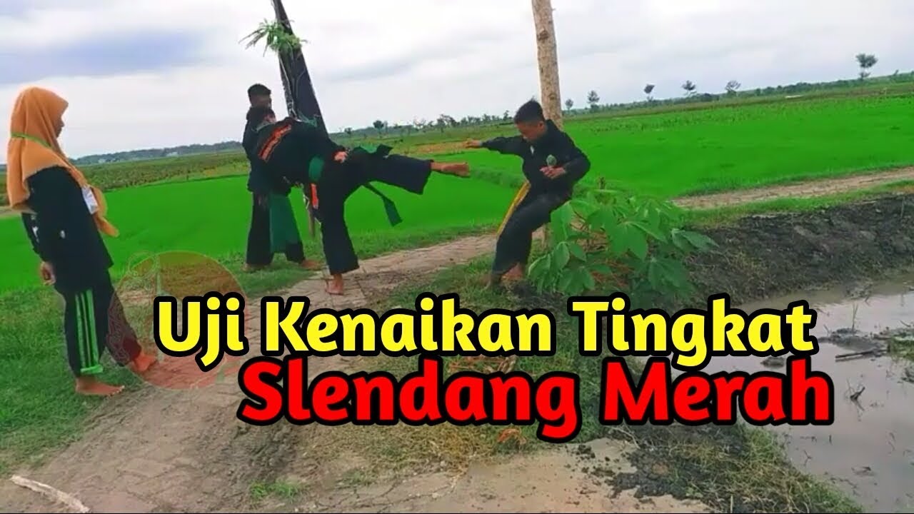 UKT slendang kuning ke merah || Pagar Nusa Padepokan Senggoro Macan  part 1