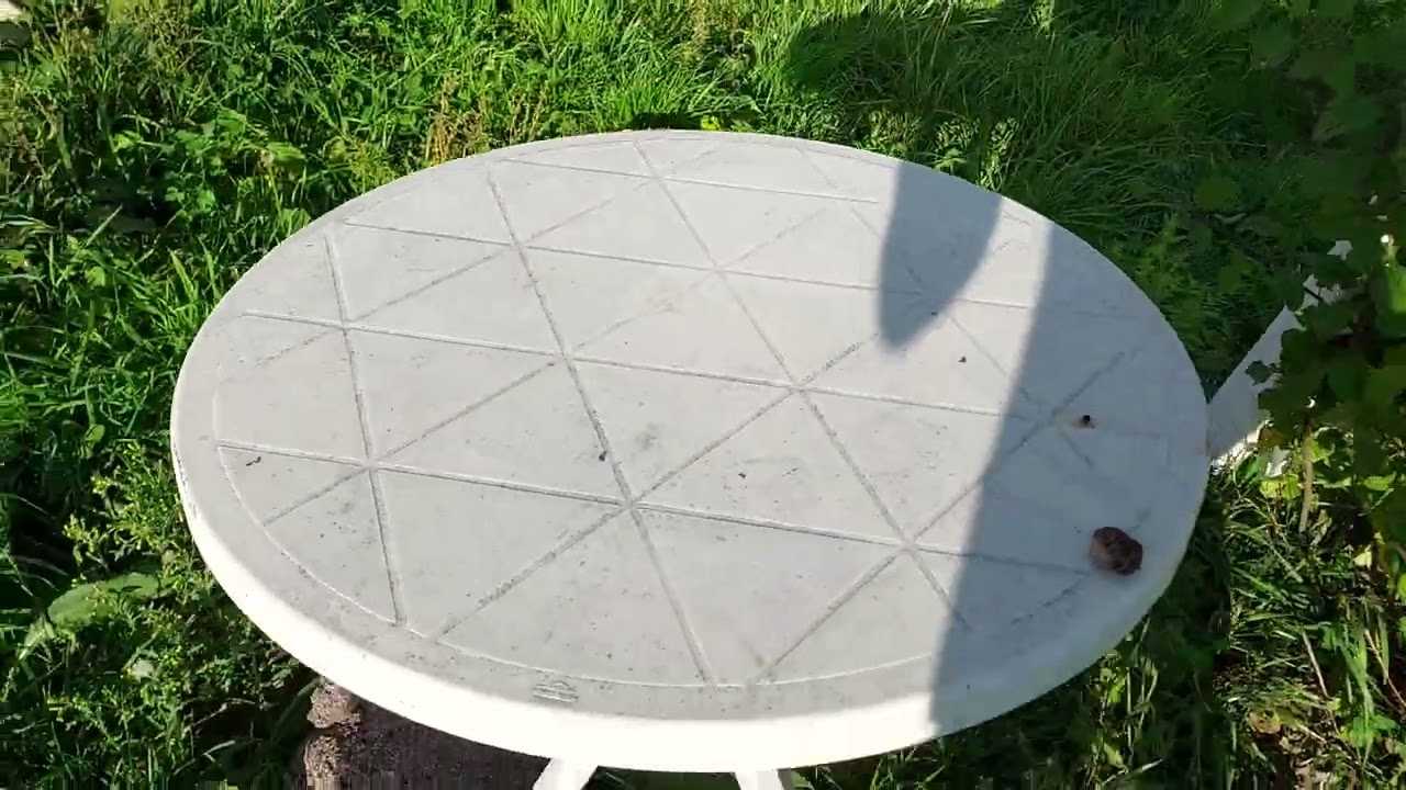 tuin update