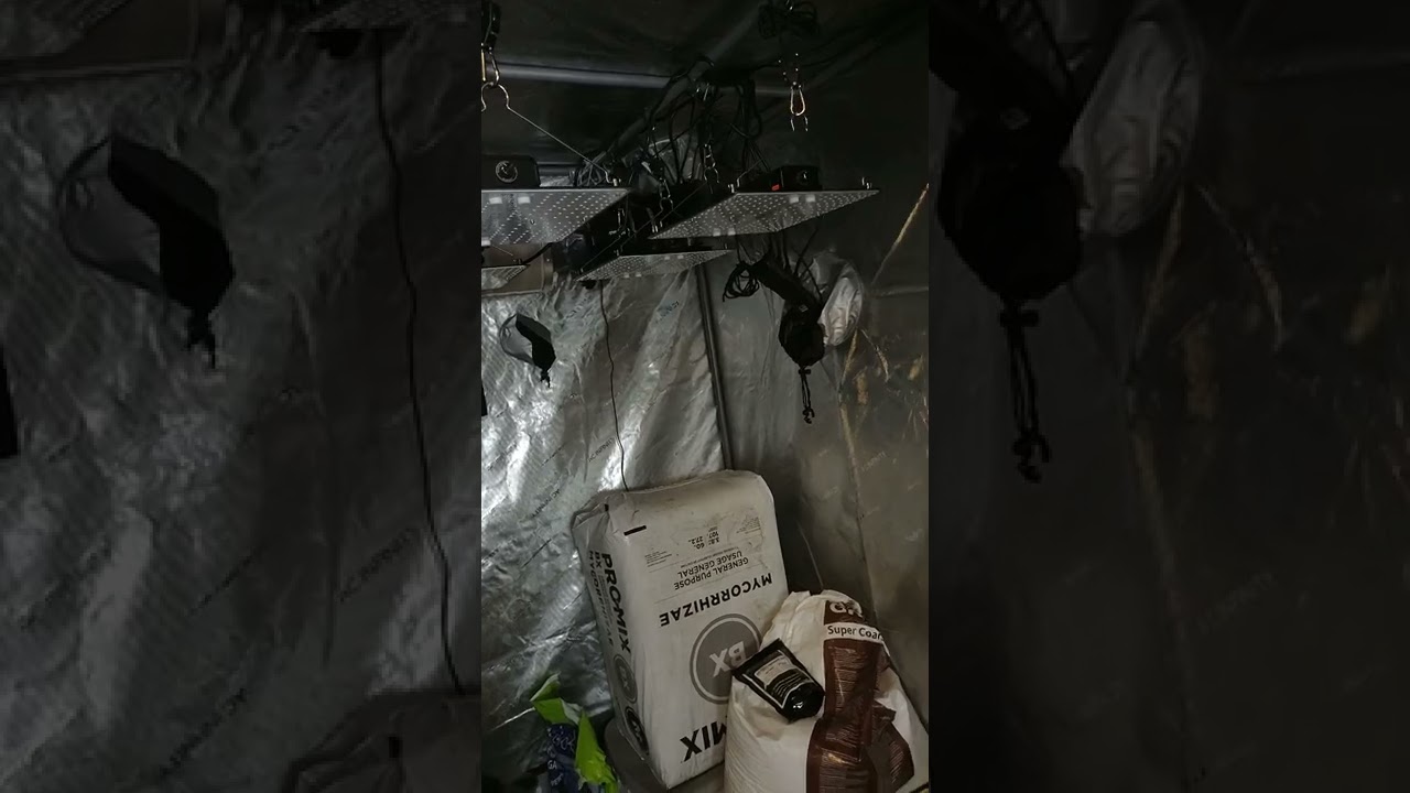 Unboxing the AC Infinity s22 ion board grow light, and what they look like in a 4x4 grow tent.