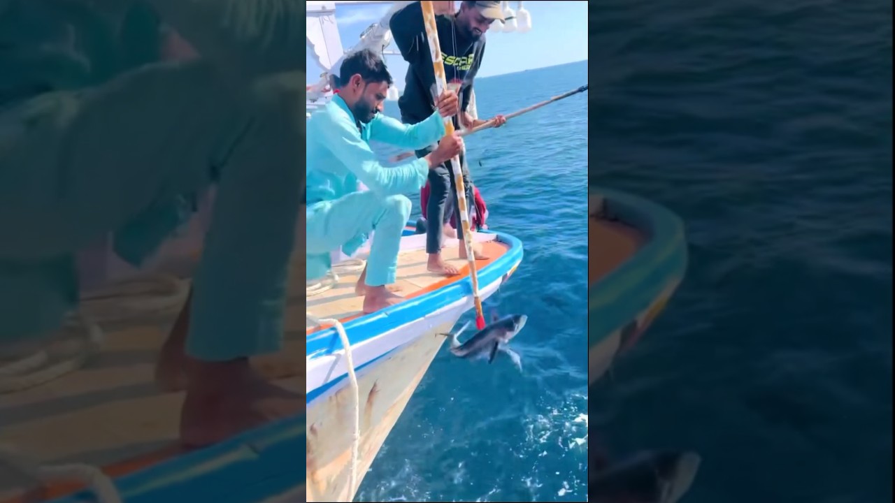 Powerful King Fish Catch 🔥 Surmai Fishing in Deep Sea | Traditional Fisherman Life 