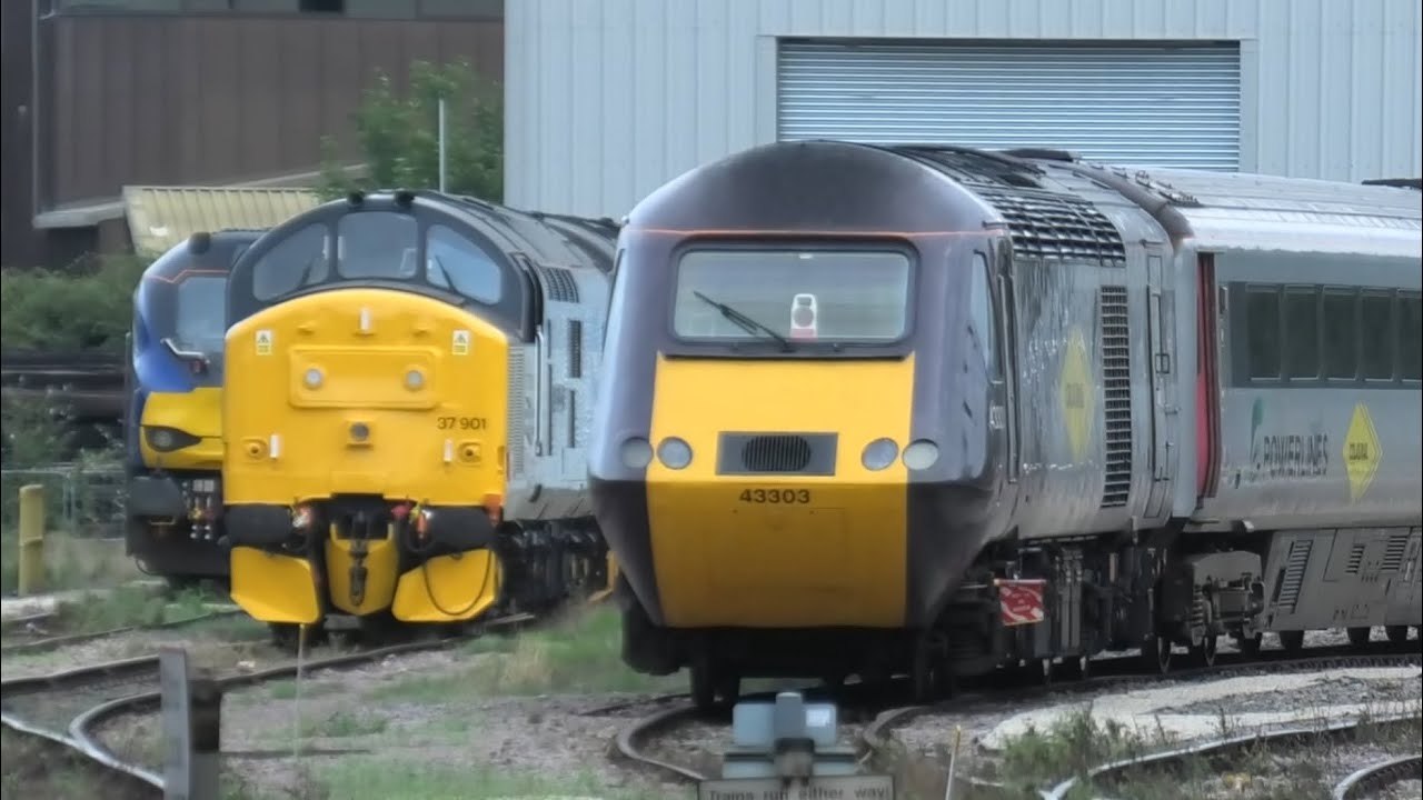 Fantastic/Busy Morning at Leicester Station Freight Trains Light locos Rail Adventure HST 10/09/24