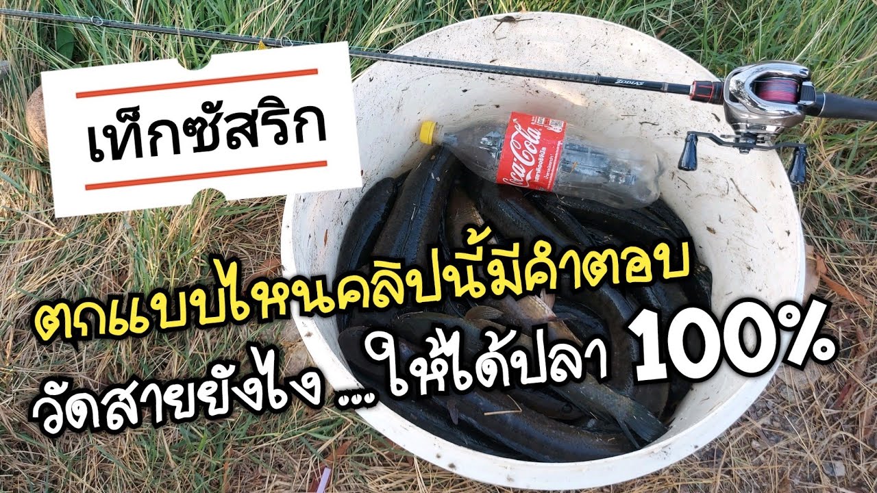 เท็กซัสริก วัดสายยังไงให้ได้ปลา 100% (คลิปนี้มีคำตอบ)