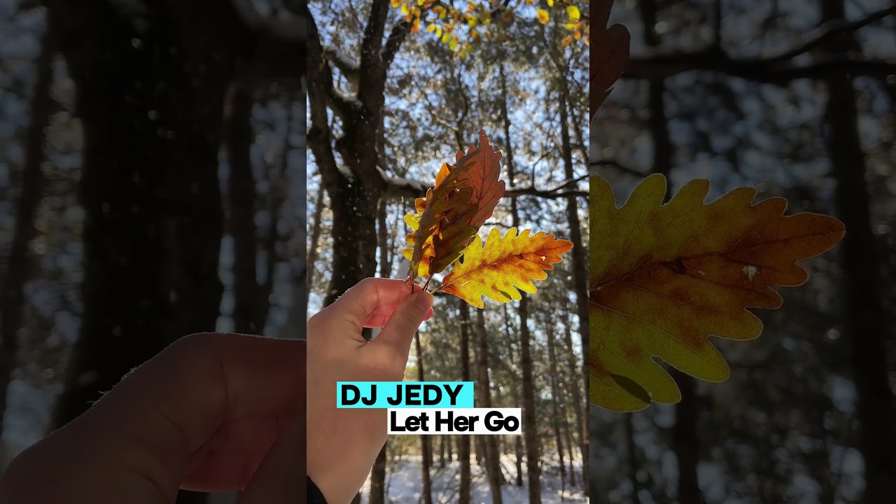 DJ JEDY - Let Her Go #autumn #shorts #viral #chillvibes #deephouse #nature #remix #cover #radio